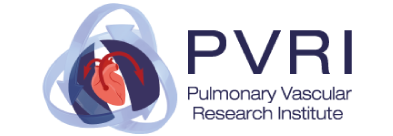 pvri-logo